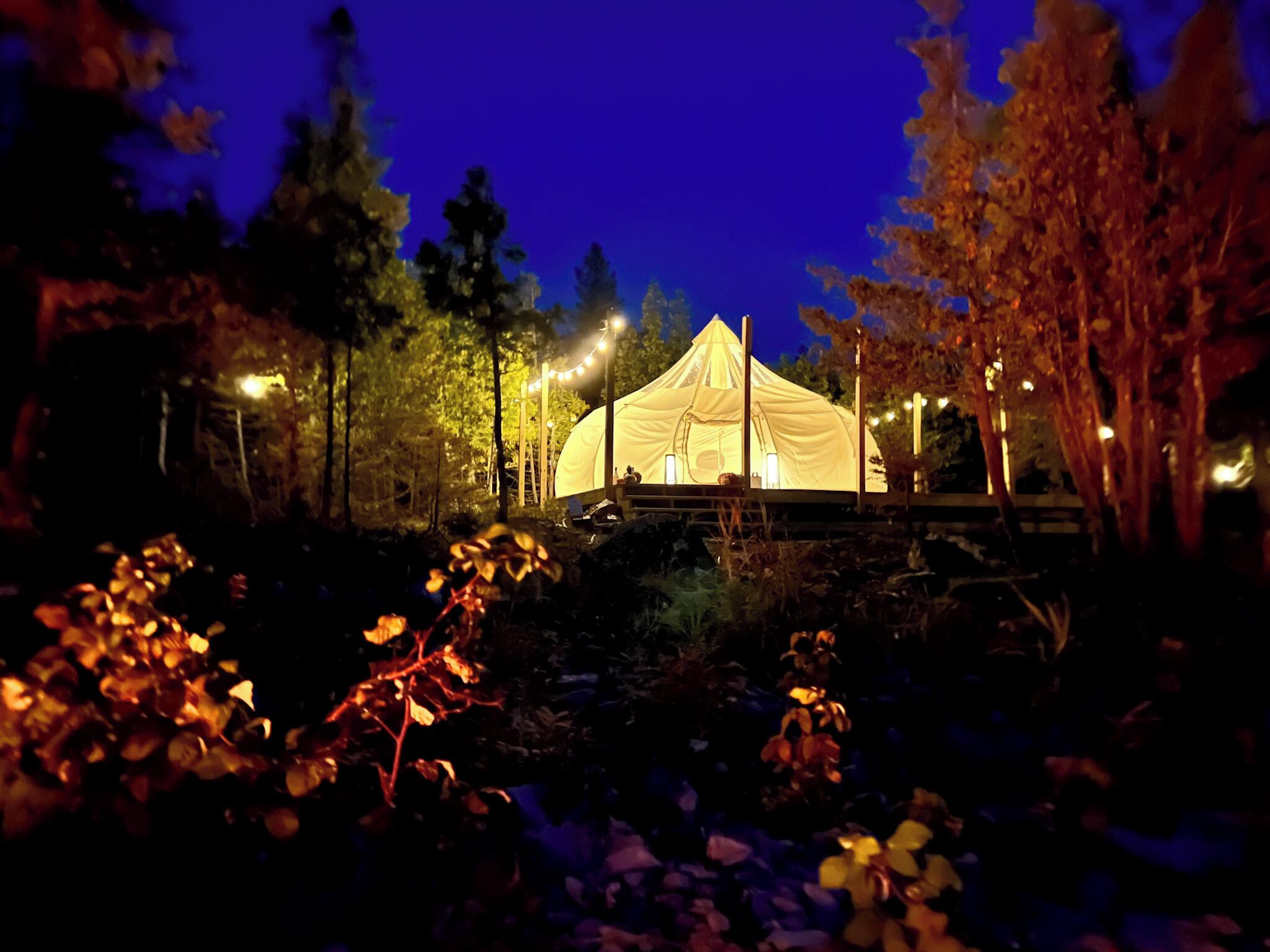 Udendørsområde