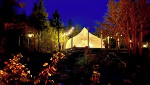 Telttaa muistuttava rakenne, jossa on valonauhoja, ja sen ympärillä on puita ja kasvillisuutta.