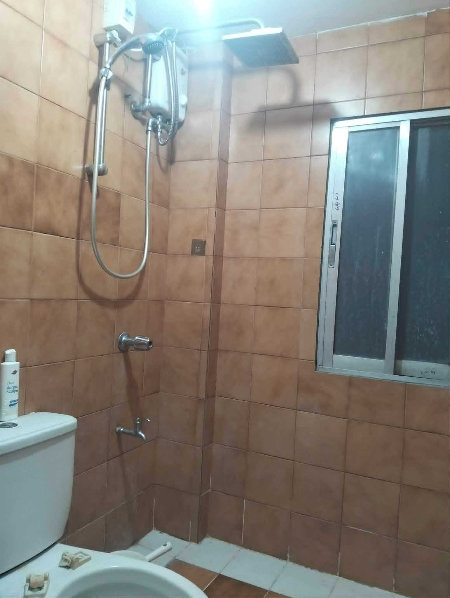 Shower, bidet, towels, toilet paper