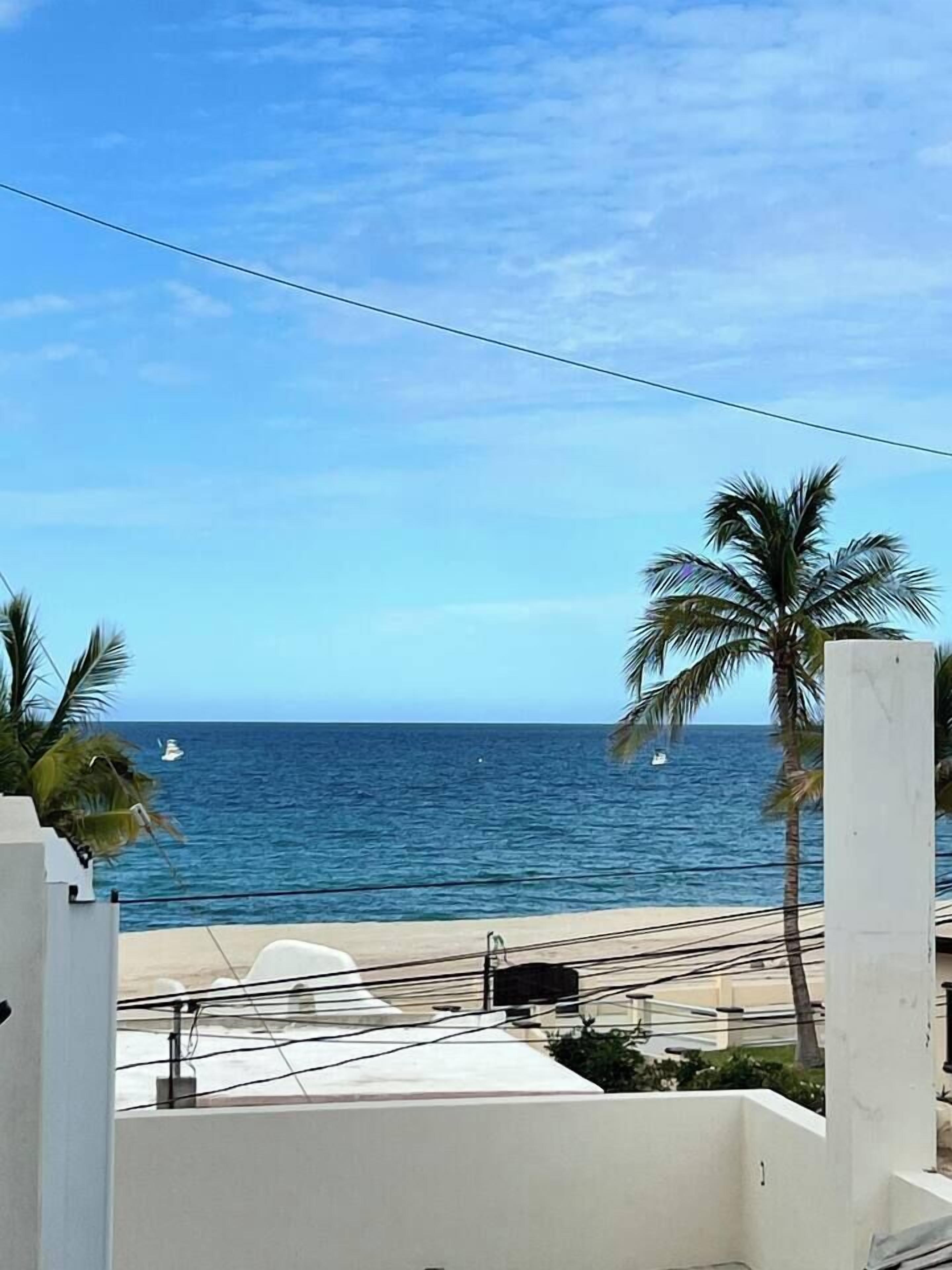 A coastal view with a clear sky, a body of water, and a palm tree.