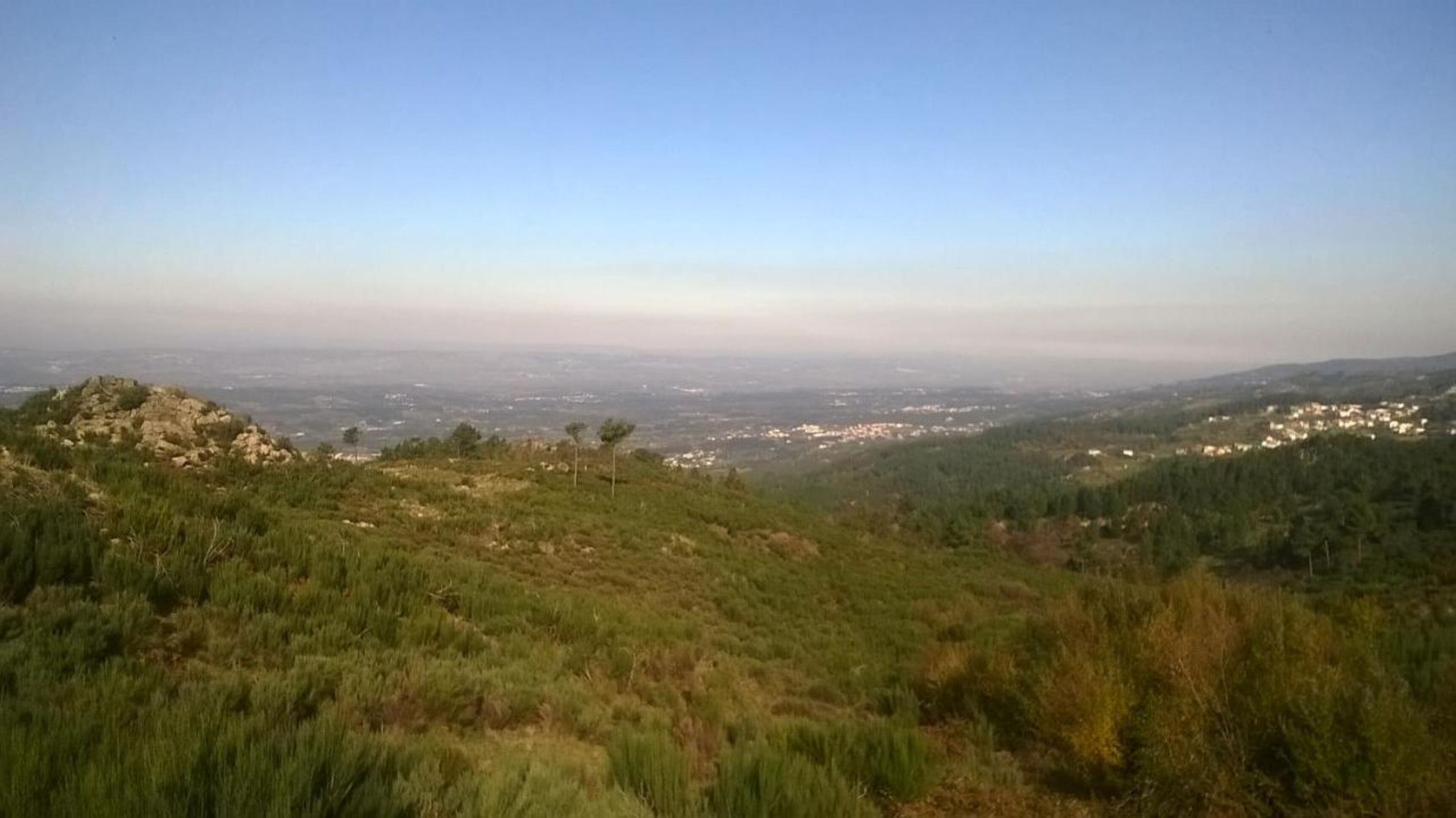 Khác
