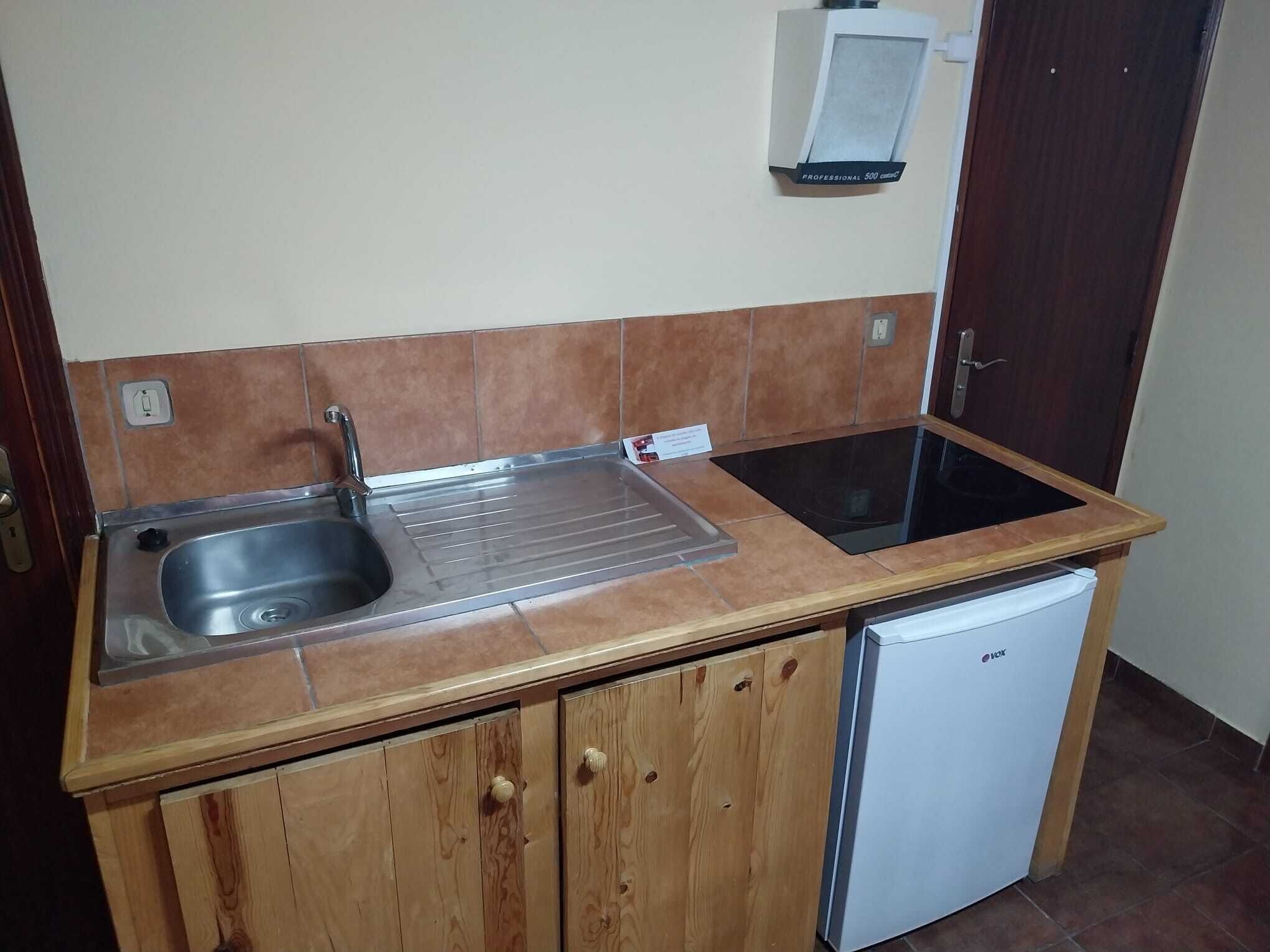 Deluxe Apartment, Balcony, Garden View | Private kitchen