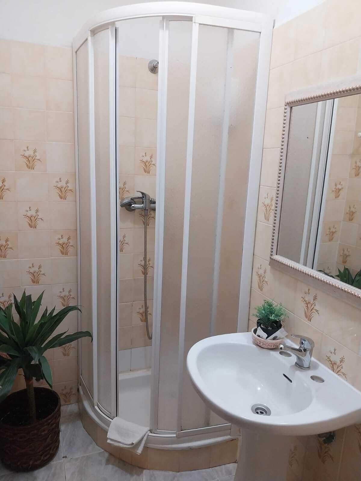 A corner bathroom with a shower enclosure, a sink, and a mirror.