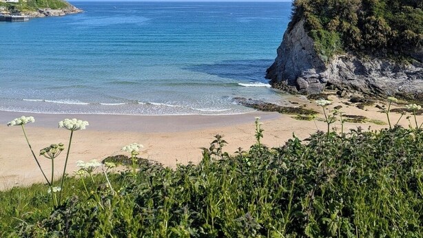 Un paysage côtier avec une plage, des affleurements rocheux et un ciel dégagé.