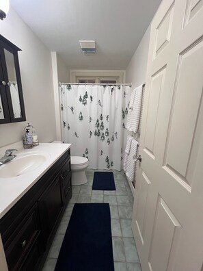 Shower, hair dryer, towels, soap - Peaceful 3-bedroom+loft house perfect for relaxing stays close to Stratton (Jamaica)