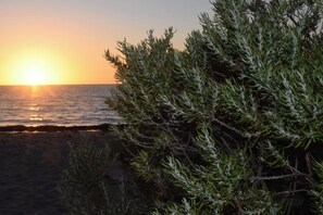 A coastal scene with a sunset over the ocean, foreground vegetation, and a rocky shoreline. - Mallee Drift - Exhale and Relax (James Well)