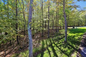 A forested area with a stone pathway. - Mountaintop retreat with 5 bedrooms, hot tub, pool table, and community pool! (McHenry)