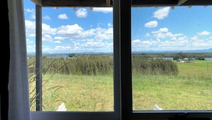 Ein Fenster mit Blick auf ein grasbewachsenes Feld, Bäume und ein entferntes Gewässer.