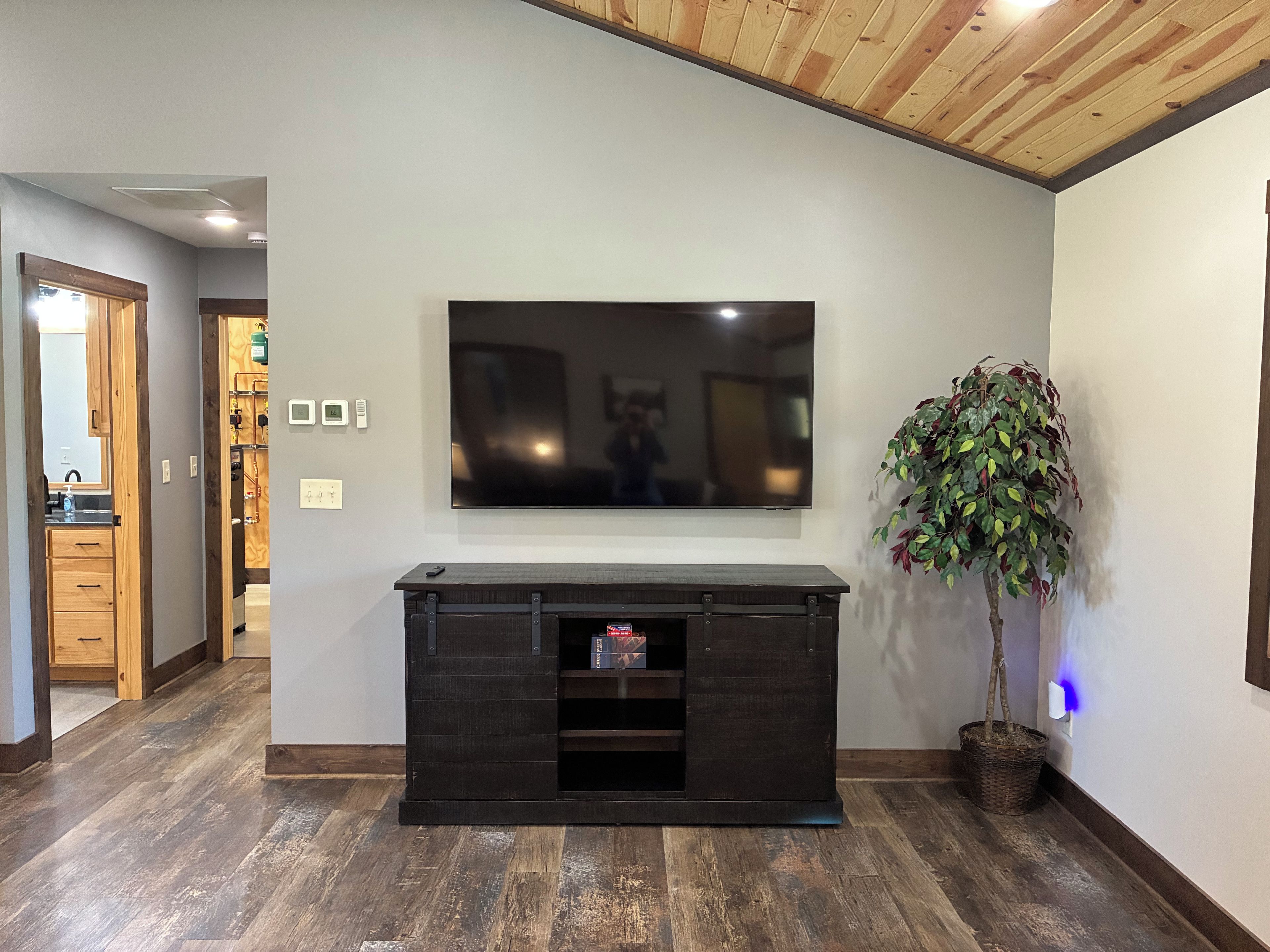 Un salon avec un téléviseur à écran plat fixé au mur, un meuble de rangement en bois foncé et une plante en pot.