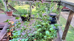 Eine Holzterrasse mit Topfpflanzen und einem Garten im Hintergrund.