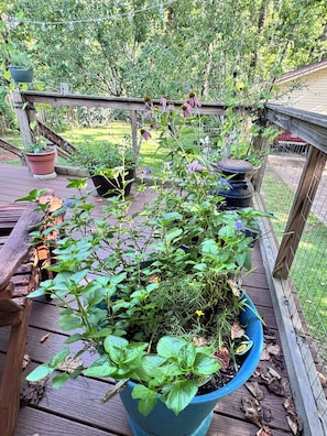 Eine Holzterrasse mit Topfpflanzen und einem Garten im Hintergrund.