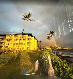 Miscellaneous -  Oceanfront Kona Reef Condo – Ironman Week Available! 
October 3–10 (Kailua-Kona)