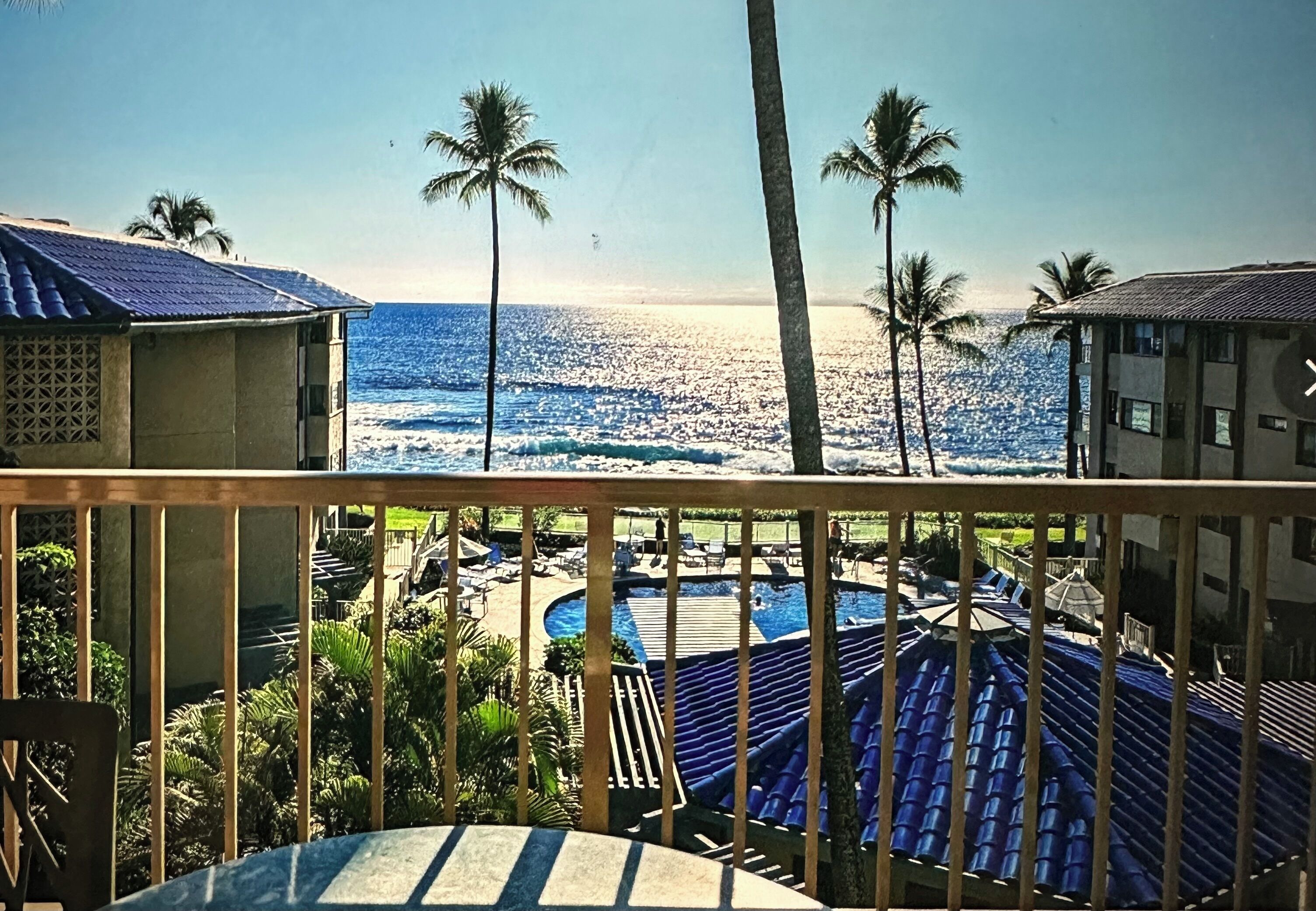 A pool area with a view of the ocean, palm trees, and a building with a blue roof.