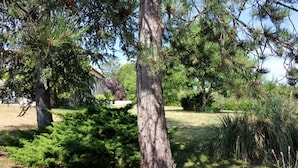 A tree with pine needles, a grassy area, and a building in the background. - Le Mounet, charmante maison dans le Pays de Serres (Frespech)