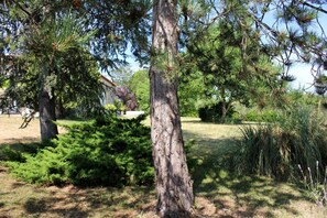 A tree with pine needles, a grassy area, and a building in the background. - Le Mounet, charmante maison dans le Pays de Serres (Frespech)