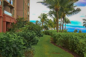 Property grounds - Ground Floor 2BR with Expansive Lawn, Steps to Beach and the Ocean (Lahaina)