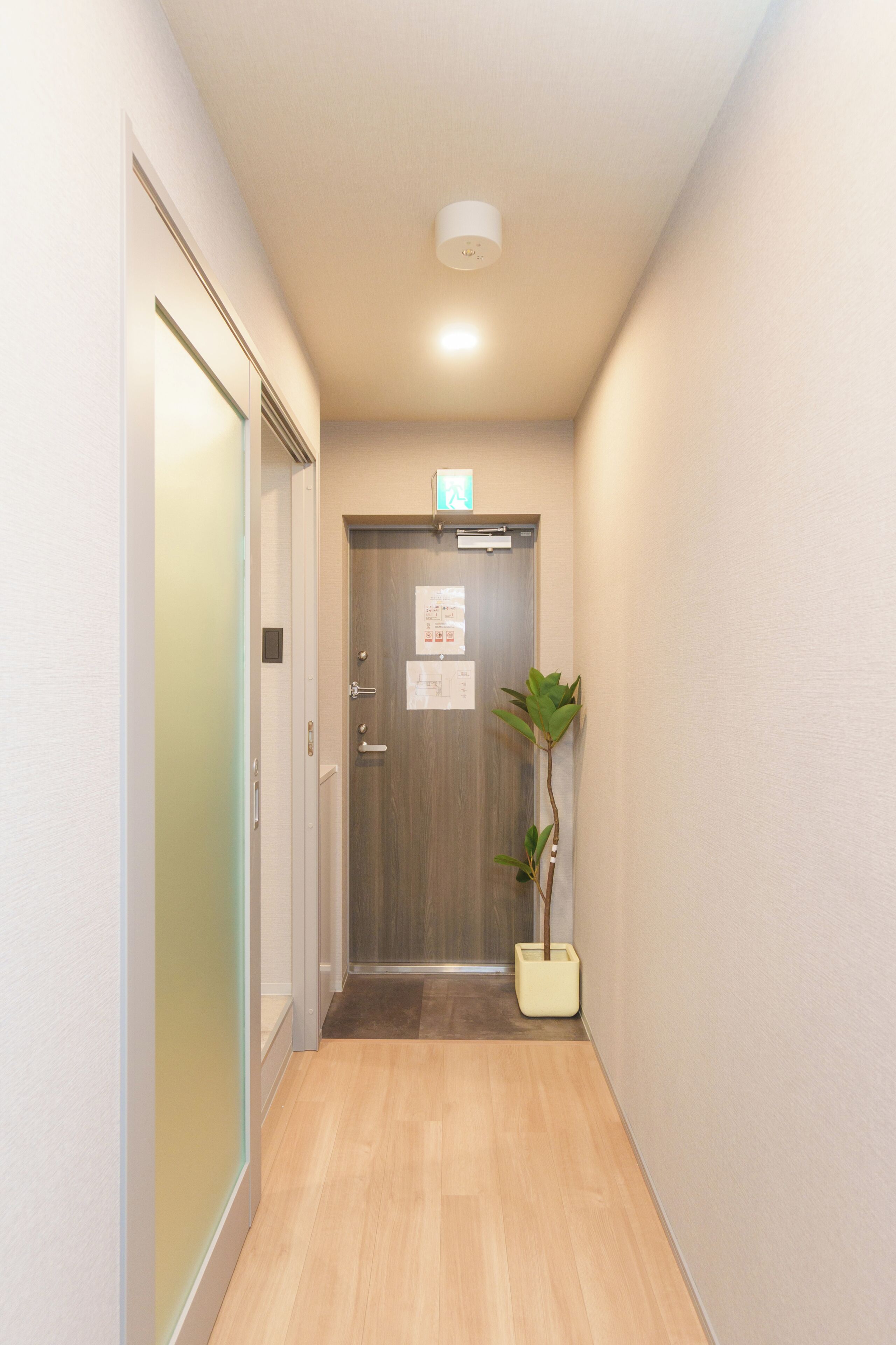 Un pasillo estrecho con piso de madera, una puerta con un letrero y una planta en maceta.