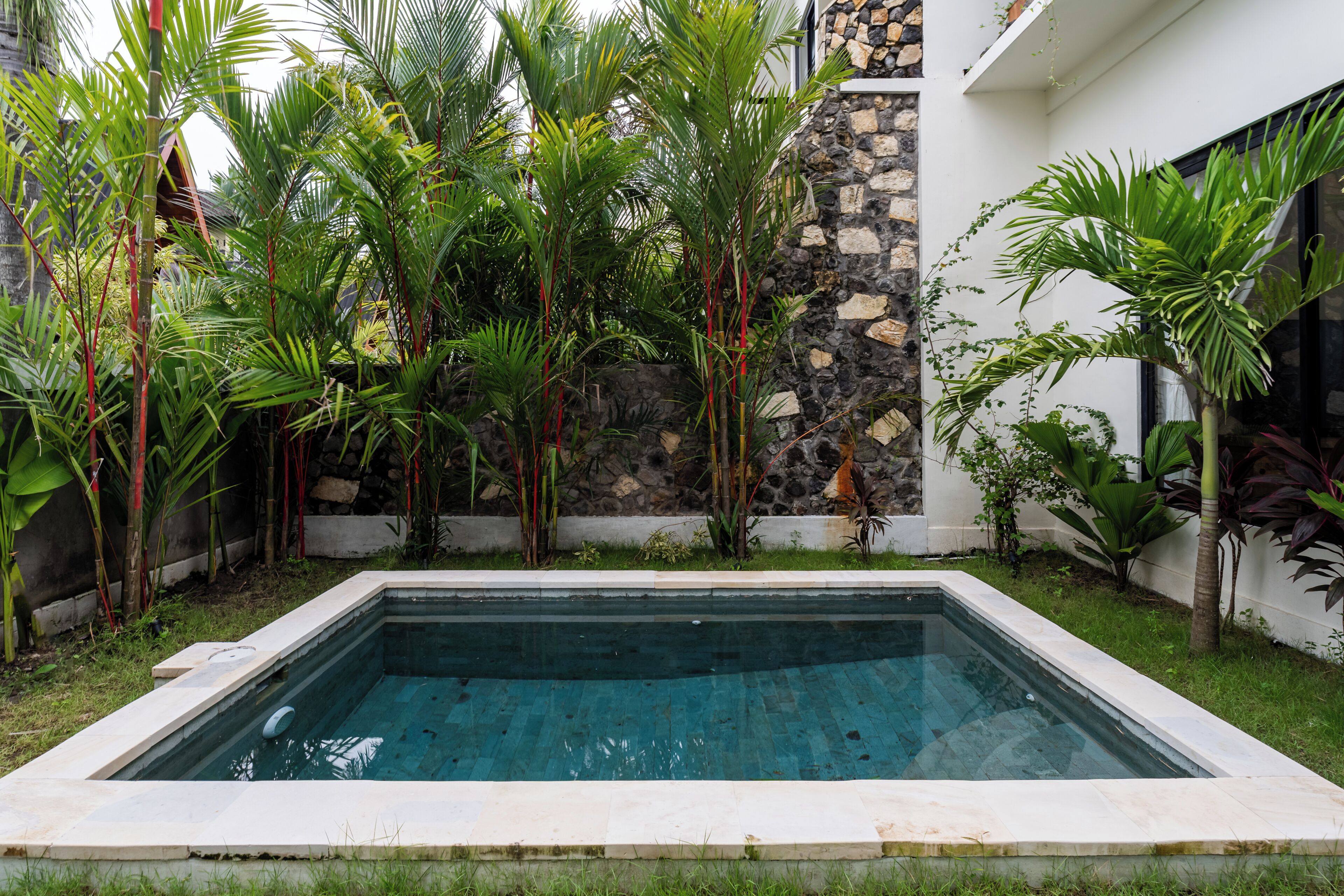 Kolam renang