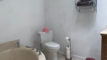 Hair dryer, towels, soap, toilet paper