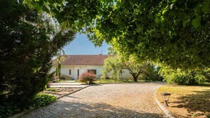 A cobblestone driveway leading to a building with a tiled roof, surrounded by lush greenery and a well-maintained garden. - GuestReady - Quinta do Outeiro (Anadia)