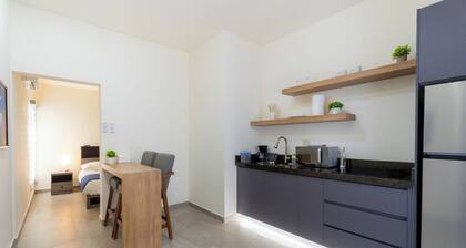 Apartment Executive Summary 2 min. City Center and 3 min. CAS