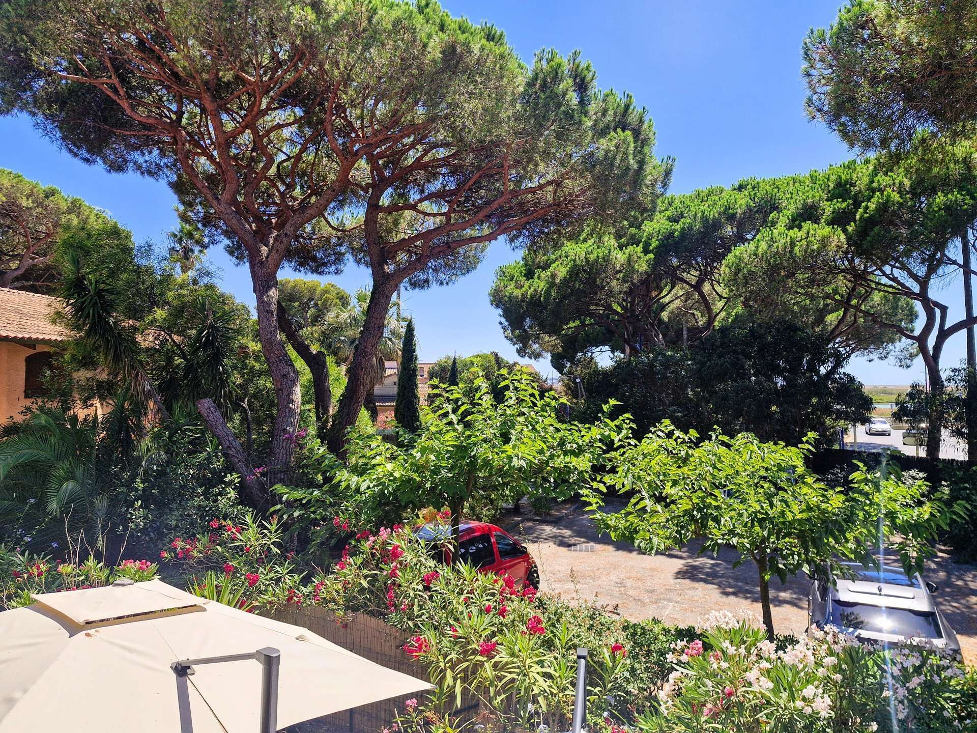 A garden with trees, a red car, and a white umbrella.