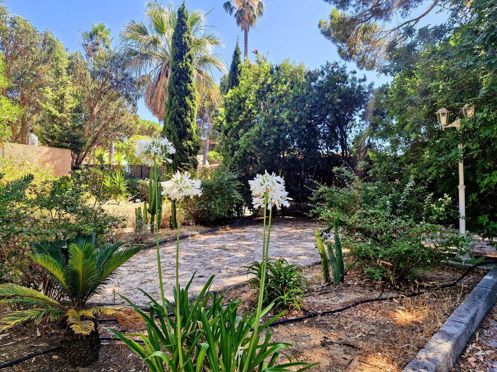 A garden with various plants and trees, a stone pathway, and a white structure.