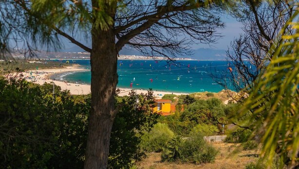 A coastal landscape with a beach, a tree in the foreground, and a view of the sea with boats.