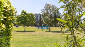 Uma área gramada com o logotipo de 'Stella' e um veículo ao fundo.