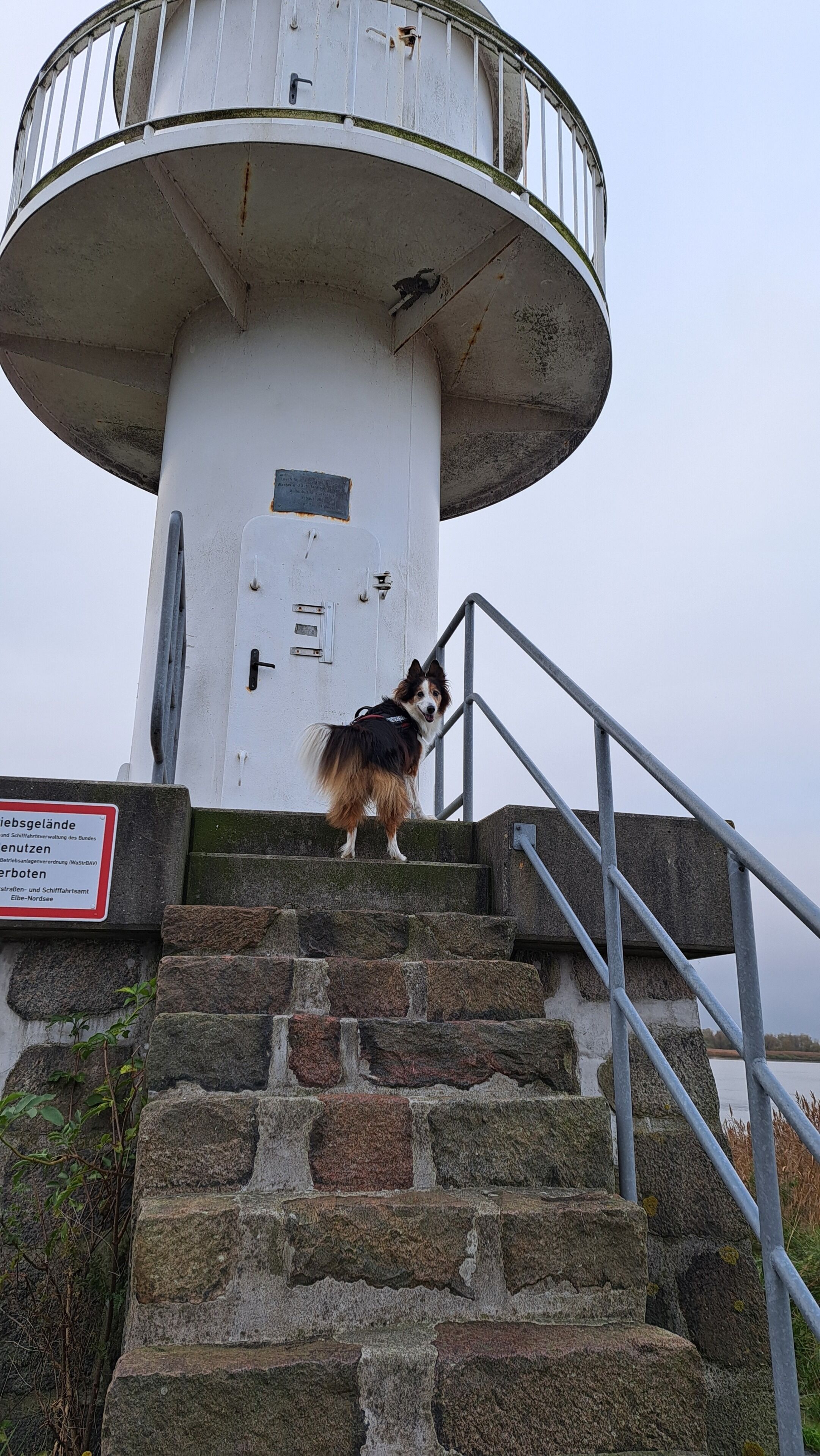 Ein Leuchtturm mit einem Hund, der auf der Treppe steht.