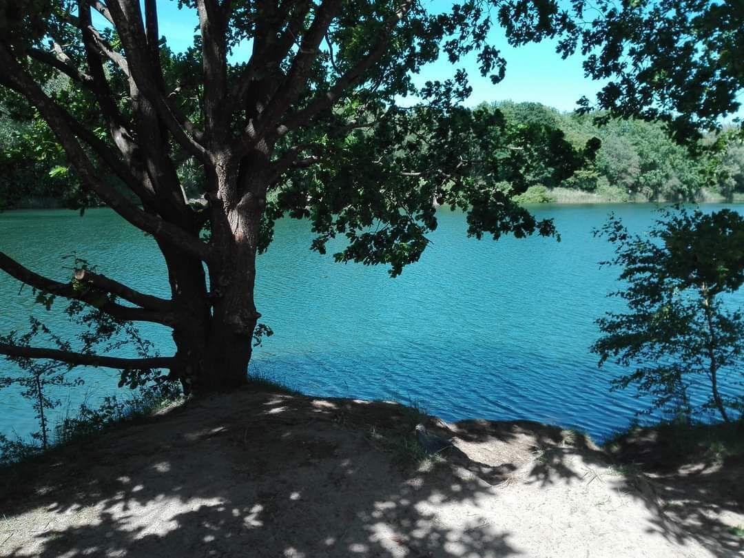 Une vue sur le lac bordé d’arbres, avec un ciel dégagé.