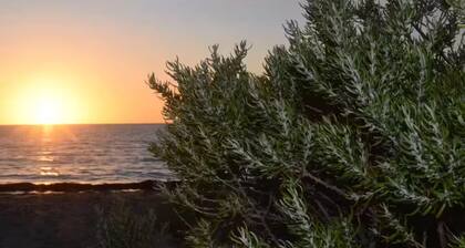 Mallee Drift - exhale and relax