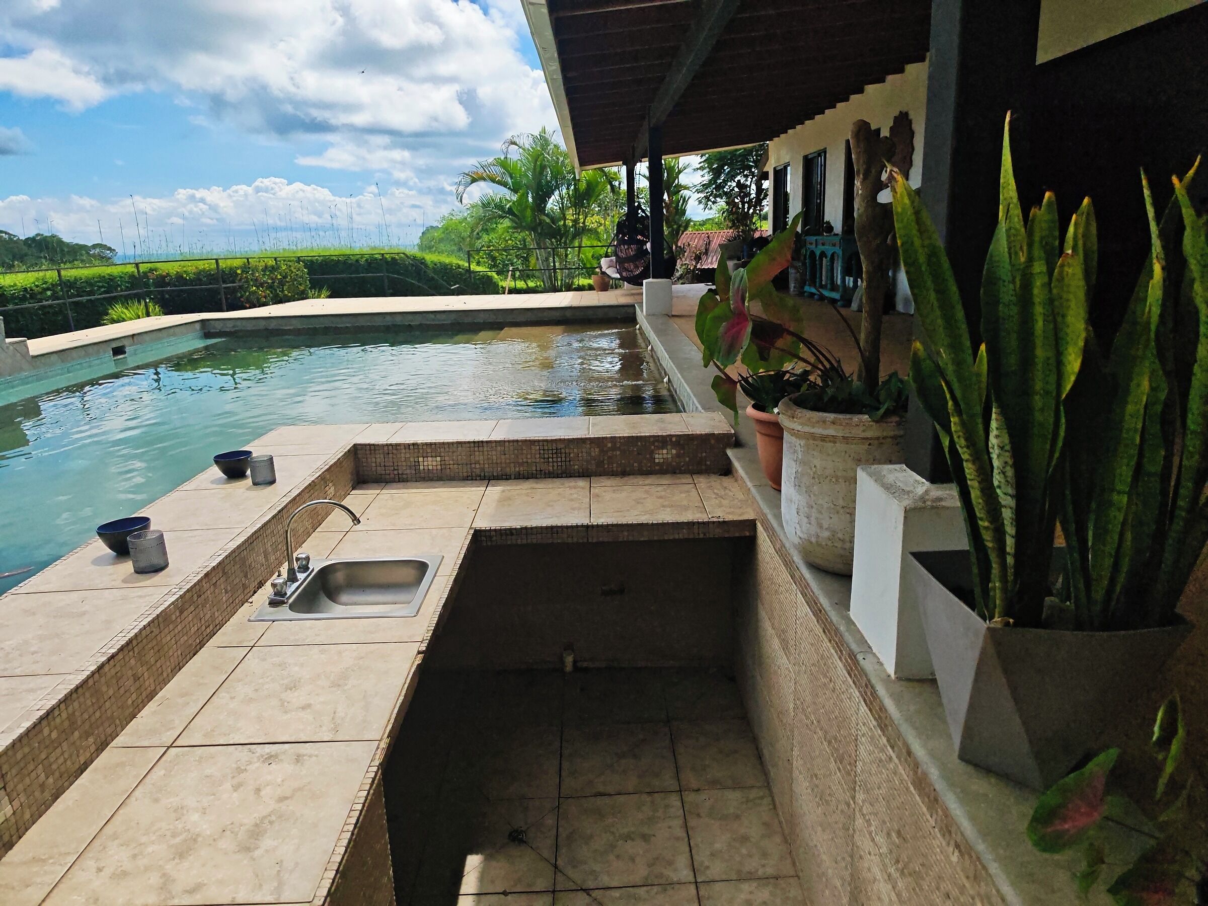 A pool area with a built-in sink and potted plants.