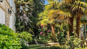 Un jardín exuberante con diversas plantas, un banco y la fachada de un edificio.