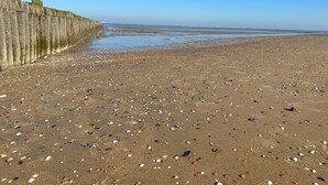 Ein Strand mit einer Holzlattenverkleidung und verstreuten Muscheln.