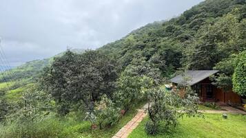 Family Room, Balcony, Mountain View | Property grounds