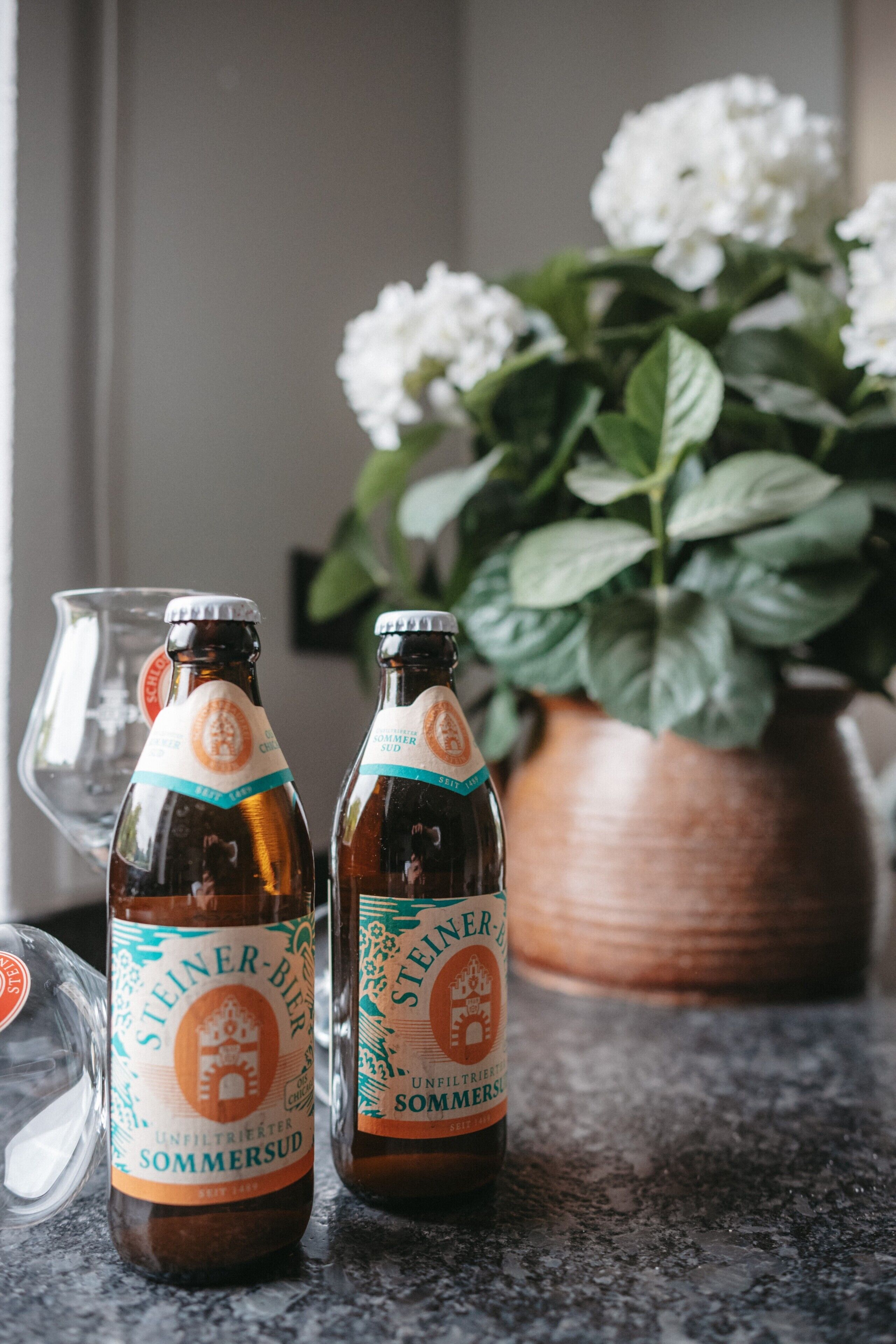 Twee bierflesjes, een glas en een potplant op een aanrecht.