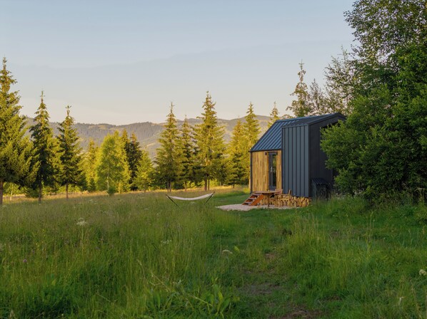 A small cabin with a wooden exterior and a metal roof, situated in a grassy field with trees and mountains in the background.