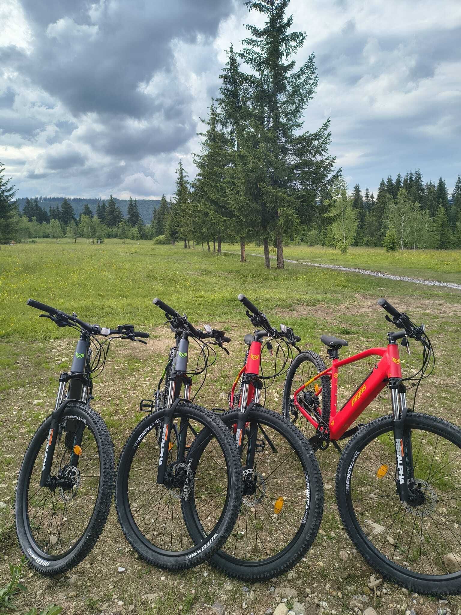 Quatre vélos sont garés sur un champ herbeux, avec des arbres et un ciel nuageux en arrière-plan.