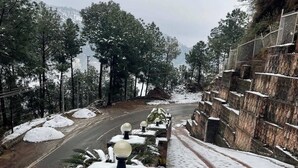 A snow-covered pathway leading to a building with a sloped roof and a series of spherical light fixtures along the path. - Rustic Pines (Solan)