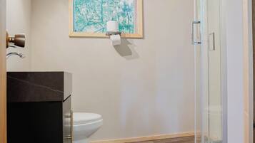 A bathroom with a toilet, a framed picture on the wall, a shower enclosure, and a dark-toned vanity.