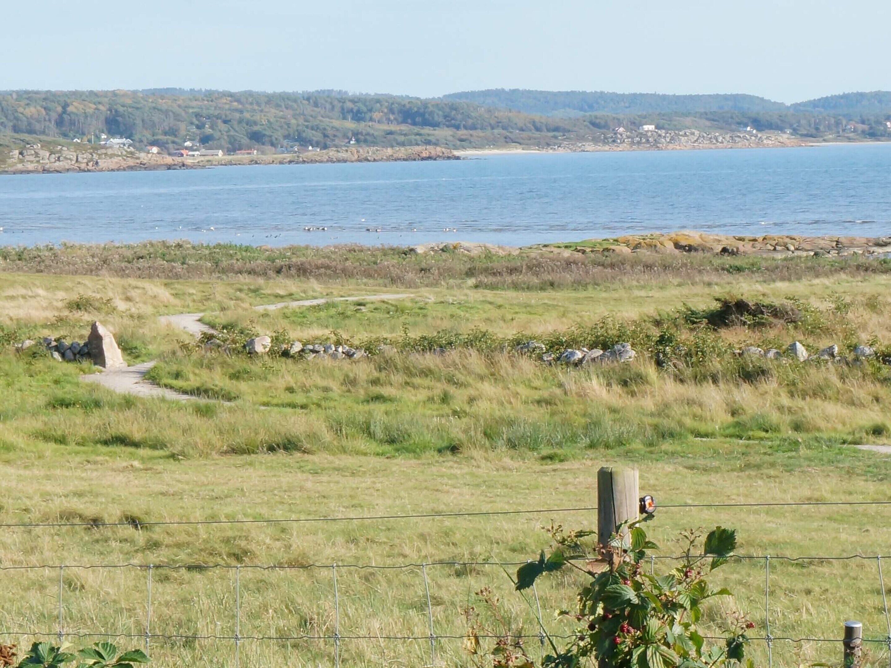 Et kystlandskab med en sti ned til vandet, et hegn og fjerne bygninger.