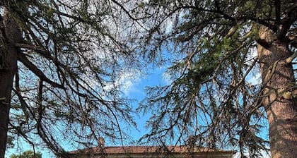 An authentic vacation rental where tranquility, nature, and French charm come together. Dogs Welcome!