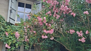 Detalle exterior