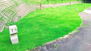 A grassy area with a concrete path and a sign labeled 'T1'.