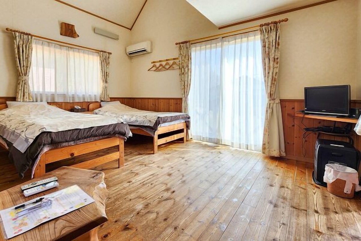 A room with two wooden beds, a television, and a desk with a computer.