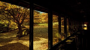 A corridor with large windows offering views of a park with autumn trees.