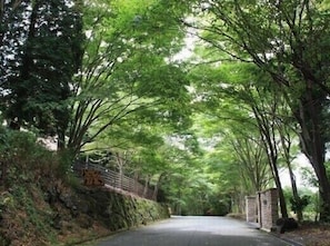 Property grounds - Dog Palace Resort Aso Otohime (Aso)