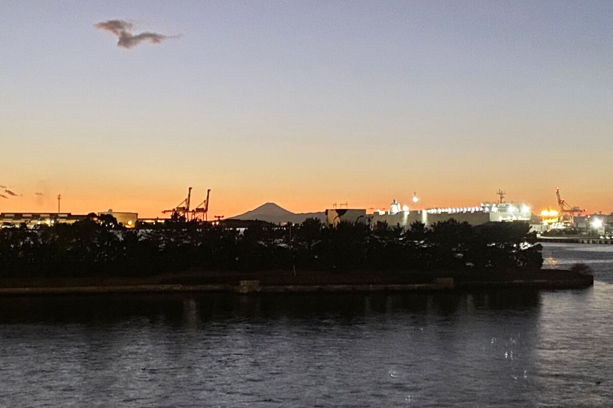 A waterfront cityscape with industrial buildings and cranes, a bridge, and a mountain in the background.