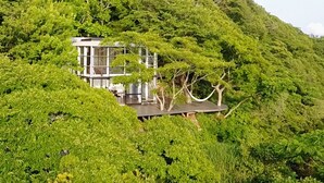 Un edificio moderno integrado en abundante vegetación, con fachada de vidrio y techo plano.